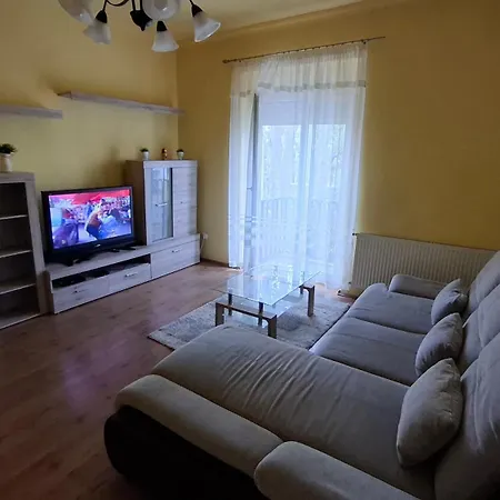 Piac Kucko Debrecen
