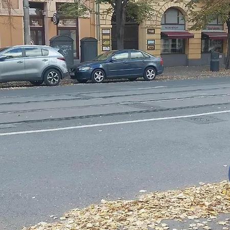 Piac Kuckó Debrecen