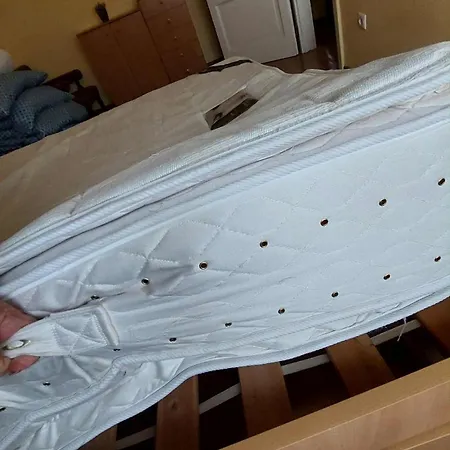 Piac Kucko * Debrecen